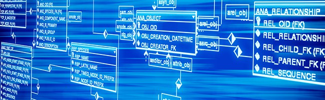 Informix Table and Index