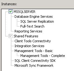 Microsoft 2008