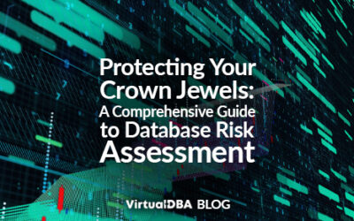 Protecting Your Crown Jewels: A Comprehensive Guide to Database Risk Assessment