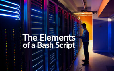 The Elements of a Bash Script