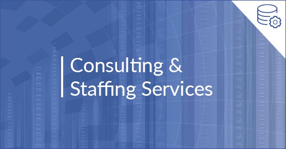 Consulting & Staffing Services