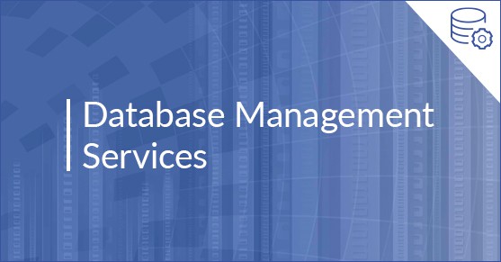 DB Management