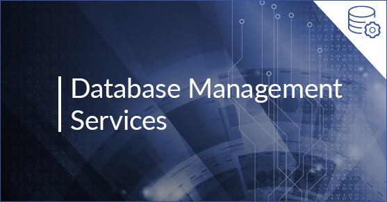 Remote DBA Management Service Plans