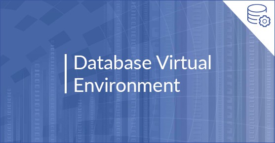 Database Virtual Environment