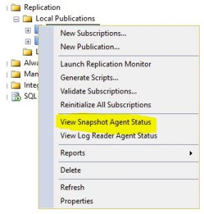 view-snapshot-agent-status