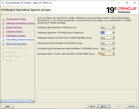 Cloning 19c Oracle Home Screenshot
