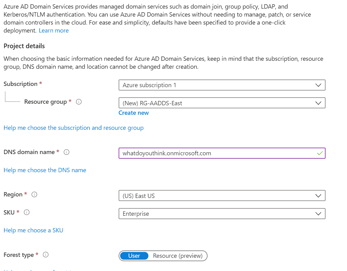 Setting up Azure AD DS basics page