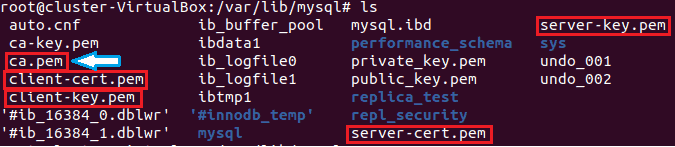 VDBA Encrypted Replication 1