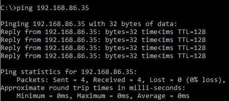 Verifying a Server is Offline_ping via IP